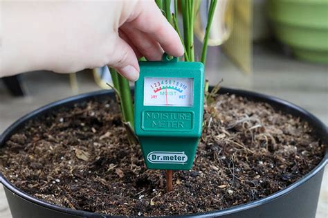 using moisture meter garden|moisture meter guide for houseplants.